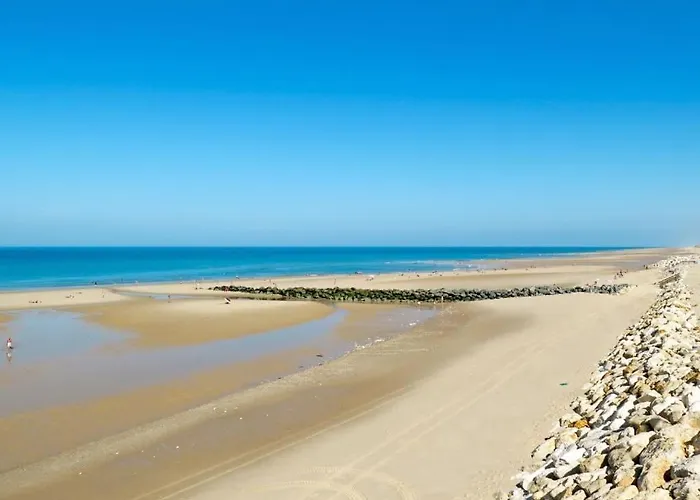 Ocean, Maison 6p, Grande Terrasse Sous Les Pins, Golf, Piscine & Ocean A Velo Tatil Evi Lacanau