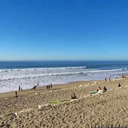 Ocean, Maison 6p, Grande Terrasse Sous Les Pins, Golf, Piscine & Ocean A Velo Lacanau